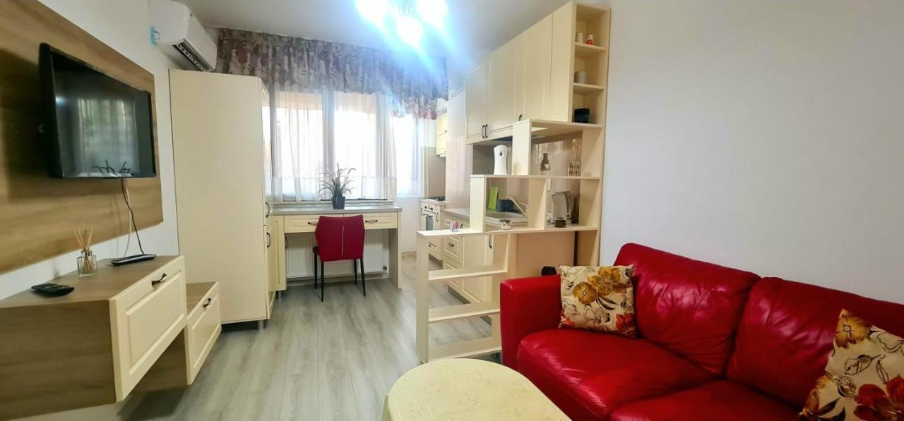 Elyse Comfortable Apartment Close To Palas Mall Iasi Buitenkant foto